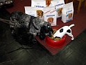 Heimtiermesse 2009   076